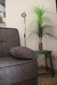 un oreiller sur un canapé à côté d'une table avec une plante dans l'établissement Casetta Monet - nel cuore della pedonale, à Dolceacqua