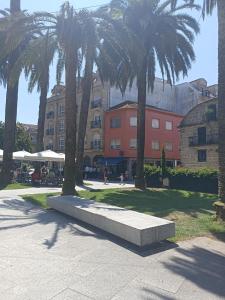 eine Bank in einem Park mit Palmen und Gebäuden in der Unterkunft EL ATICO in Caldas de Reis