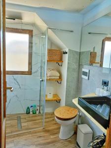 a bathroom with a shower and a toilet and a sink at Ca' di Aroha in Musignano