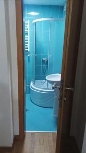 Koupelna v ubytování Apartman Selma - Bijelo Polje