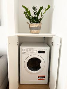 ドルチェアックアにあるDa I Ciarui casa vacanzeの棚に植物を備えた洗濯乾燥機