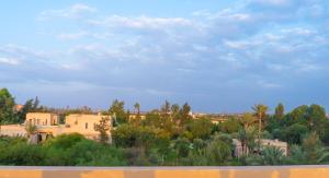 a view of a desert with trees and buildings at New villa in Marrakech palmeraie in Marrakech