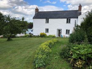 a white house with a yard in front of it at Llys Onnen - North Wales Holiday Cottage in Mold