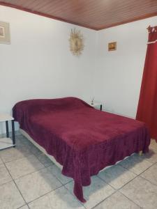 a bedroom with a bed with a red blanket on it at Descanso Los Alamos in Plottier