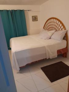 Alexander's Apartment في Carriacou: غرفة نوم بسرير وستارة خضراء