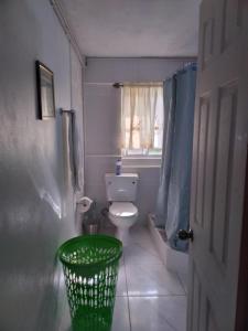 a bathroom with a toilet and a green trash can at Alexander's Apartment in Carriacou