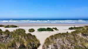 a beach with grass and the ocean in the background at Sandpiper Shores in Florence