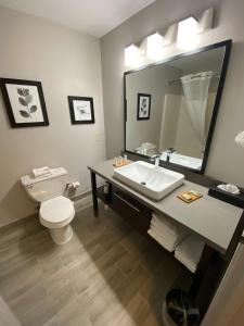 a bathroom with a toilet and a sink and a mirror at Country Inn & Suites by Radisson, Champaign North, IL in Champaign