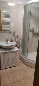 a bathroom with a sink and a shower at Apartman Campo in Šibenik