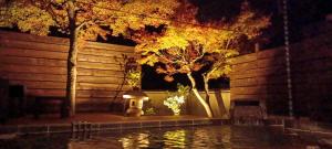 a swimming pool with a light next to trees at night at 旬樹庵　菊水 in Chikuma