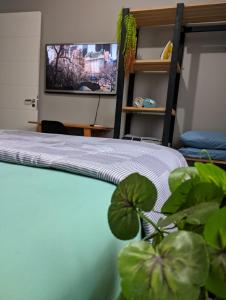 Billede fra billedgalleriet på Cantinho Verde i Santa Maria