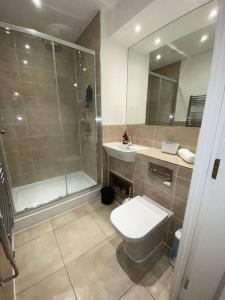 een badkamer met een douche, een toilet en een wastafel bij Cozzy apartment in Camberwell in Londen