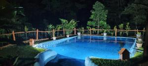 Hồ bơi trong/gần Oski Lodge, Rain Forest Rincón de la Vieja