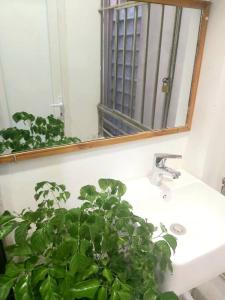 un lavandino in bagno con una pianta in vaso accanto a uno specchio di The mini apartment includes breakfast a Hanoi