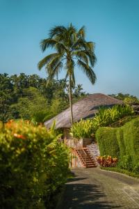 a palm tree and a house with a palm tree at Kanva Ubud in Tegalalang