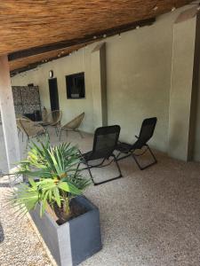 un patio con sillas, una mesa y una maceta en La tropicale gite avec Spa 2-4 personnes, 