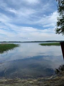 a large body of water with trees and grass at Giżycko-Przerwanki Domki Widok na Mazury in Giżycko