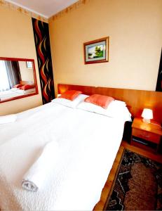 Postel nebo postele na pokoji v ubytování Hotel Bursztyn