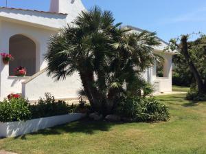 A garden outside Villa sul mare Rosa Marina
