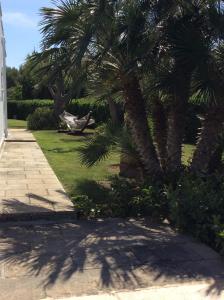 A garden outside Villa sul mare Rosa Marina