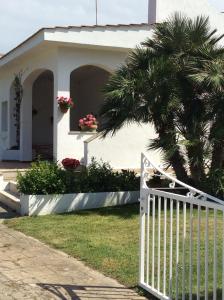 A garden outside Villa sul mare Rosa Marina