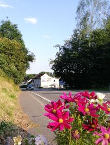 un ramo de flores rosas al lado de un camino en Au Vieux Gouvy, en Gouvy