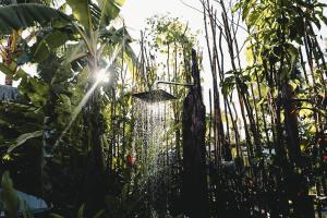 una fuente de agua en un jardín con árboles en La Bohème Boutique Glamping en General Luna