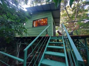 a tree house in the forest at Jungle Living Tree Houses in Monteverde Costa Rica
