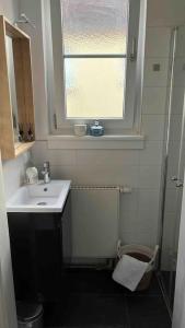 een badkamer met een wastafel, een raam en een douche bij Schöne 2 Zimmerwohnung in Heusenstamm in Heusenstamm
