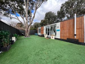 a backyard with a tree and a building at Tiny House in Belconnen 1BR Self Contained Wine in Higgins