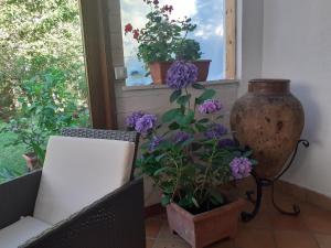A garden outside B&B Villa Bucceri