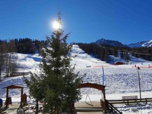 a christmas tree on top of a snow covered slope at Studio front de neige - pieds des pistes in Enchastrayes