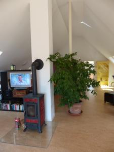 a living room with a wood stove and a tv at Loft Sierksdorf in Sierksdorf