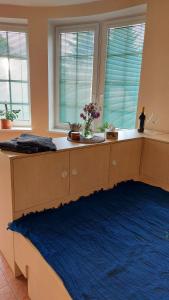un letto in una camera con due finestre e un tappeto blu di Vila La Perla a Kutná Hora