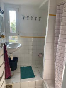 a small bathroom with a sink and a shower at Mury 12 in Strasbourg +33 photos