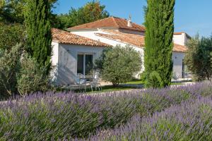 Zahrada ubytování La Bastide de Damien, 5 clefs Demeure d'Exception et Table Remarquable dans le guide Teritoria, JACUZZI Privatif, Cuisine étoilée Dominique Frérard + 37 fotografií