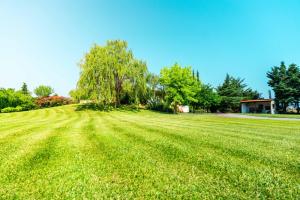a large field of green grass with a tree at Villa Bougainvillea in Epanomi