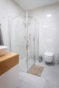a white bathroom with a shower and a toilet at V srdci města - park - přístav - cyklistické stezky in Strážnice