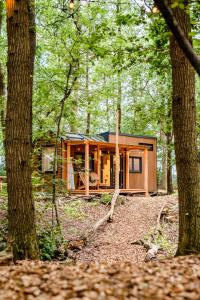 Gallery image of TinyParks Forest Cabins in Hoogersmilde