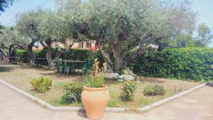 Ein Garten an der Unterkunft Apartments in Villa Isabel