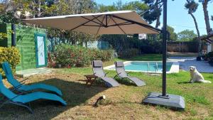 Der Swimmingpool an oder in der Nähe von Apartments in Villa Isabel