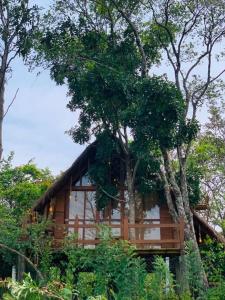 una cabaña de madera en medio de algunos árboles en Kale Cottage Belihuloya, en Belihuloya