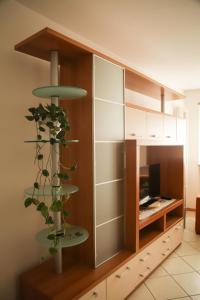 um quarto com uma prateleira com uma planta em Sole&Luna Apartment em Trento