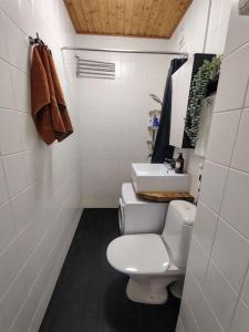 a small bathroom with a toilet and a sink at Private apartment near Ruissalo, Castle, Harbour - AC, Free parking in Turku