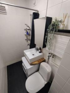 a bathroom with a white toilet and a sink at Private apartment near Ruissalo, Castle, Harbour - AC, Free parking in Turku
