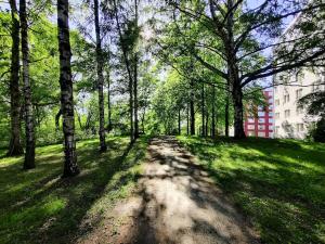 a dirt road in a park with trees and a building at Private apartment near Ruissalo, Castle, Harbour - AC, Free parking in Turku