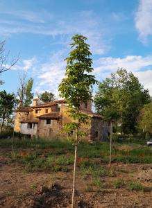 un pequeño árbol frente a un edificio viejo en Molino Del Río, en Torre la Cárcel