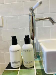 two bottles ofodorizers sitting on a counter next to a sink at Cosy and Comfy Studio with Sea View in Tourrettes-sur-Loup