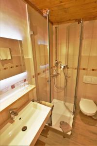 een badkamer met een douche en een wastafel bij Ferienhaus Waldwinkl in Grainau