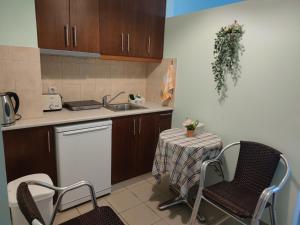 a kitchen with a table and chairs and a sink at Borianoula Apartments in Frý